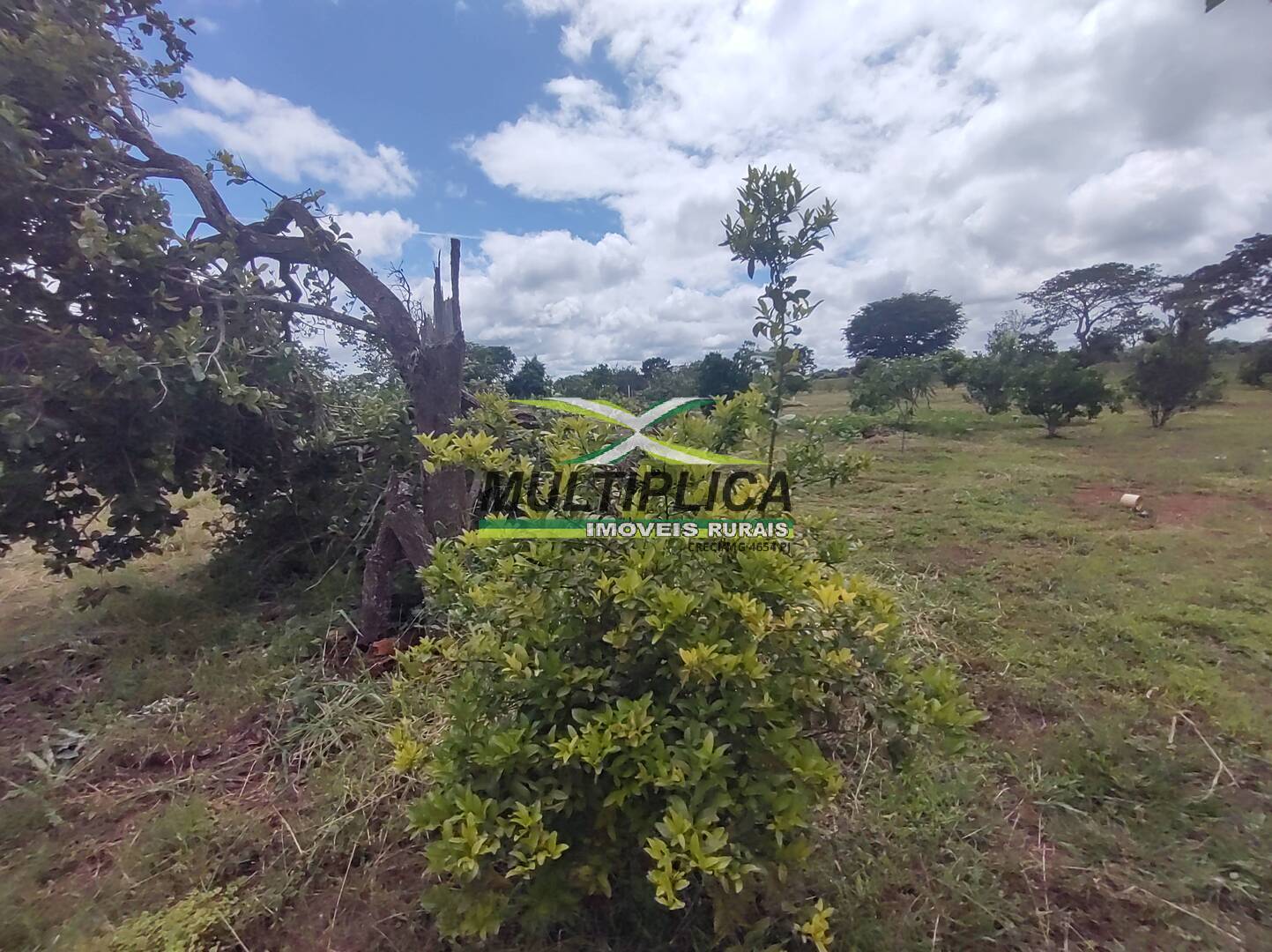 Chácara à venda com 3 quartos, 200m² - Foto 65