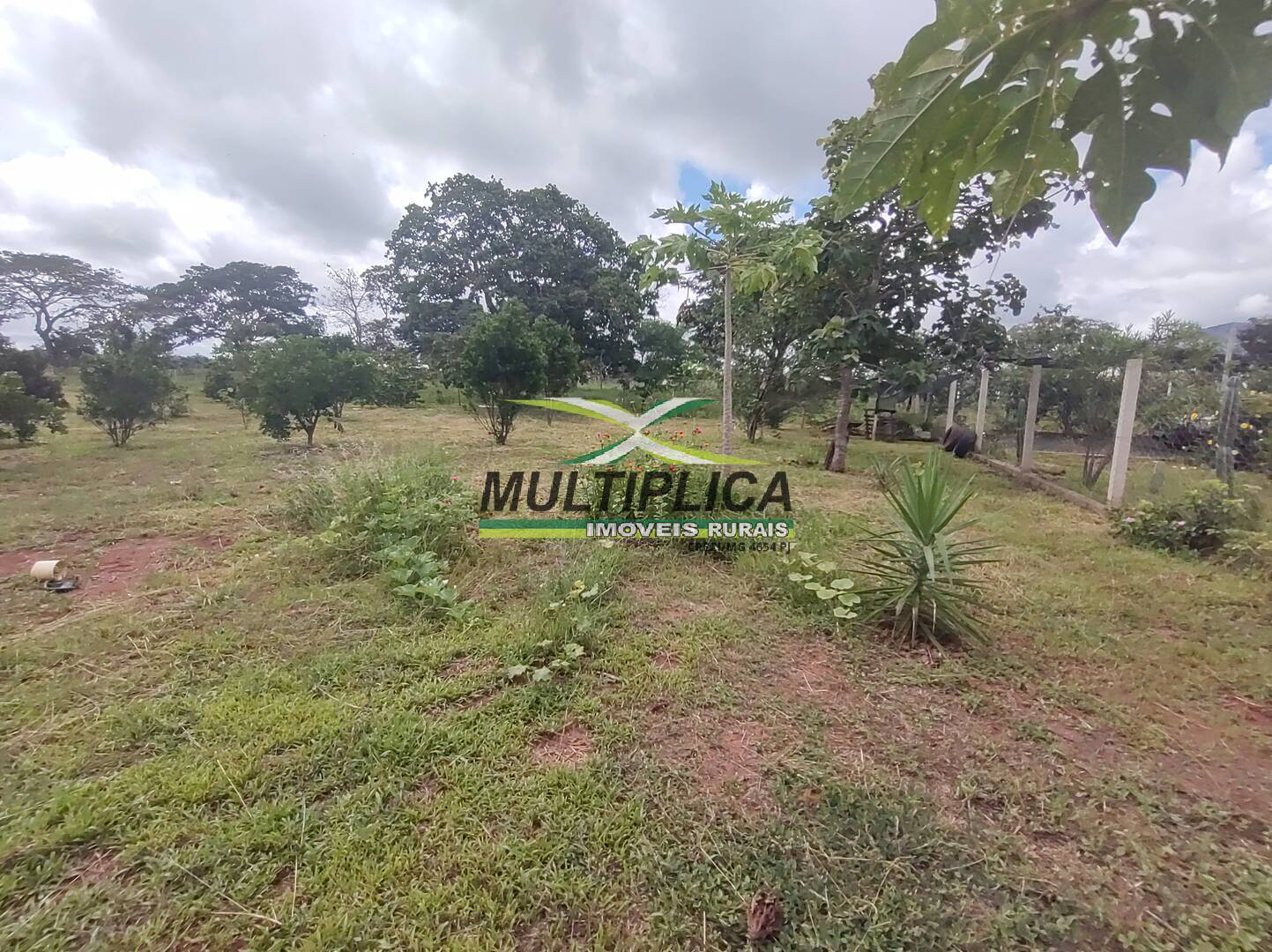 Chácara à venda com 3 quartos, 200m² - Foto 66