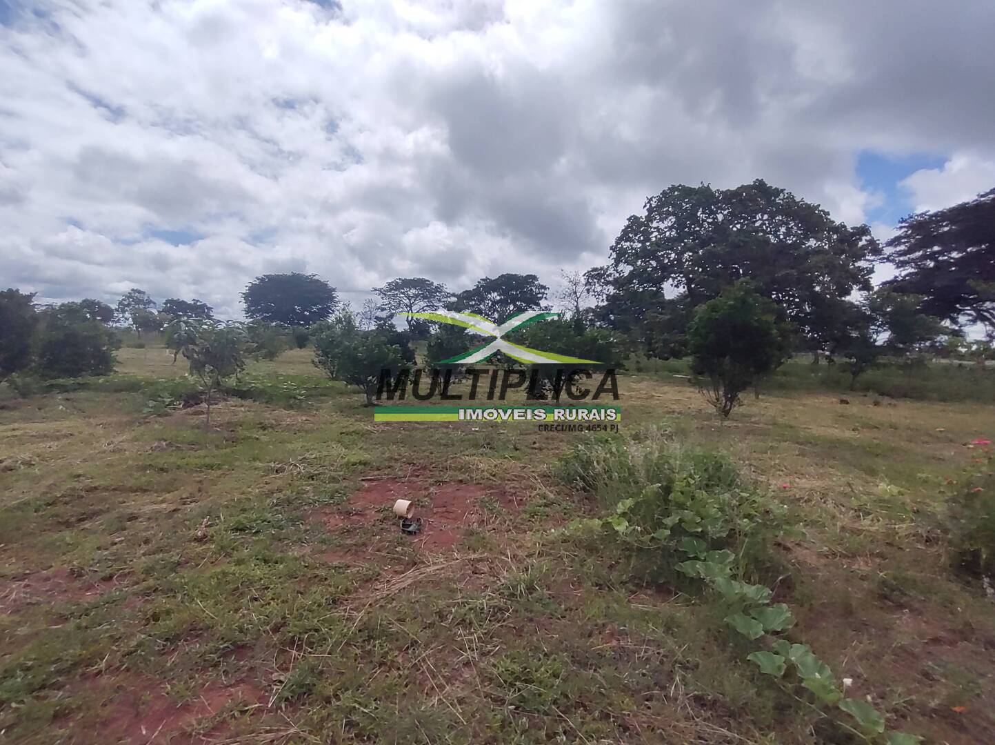 Chácara à venda com 3 quartos, 200m² - Foto 67
