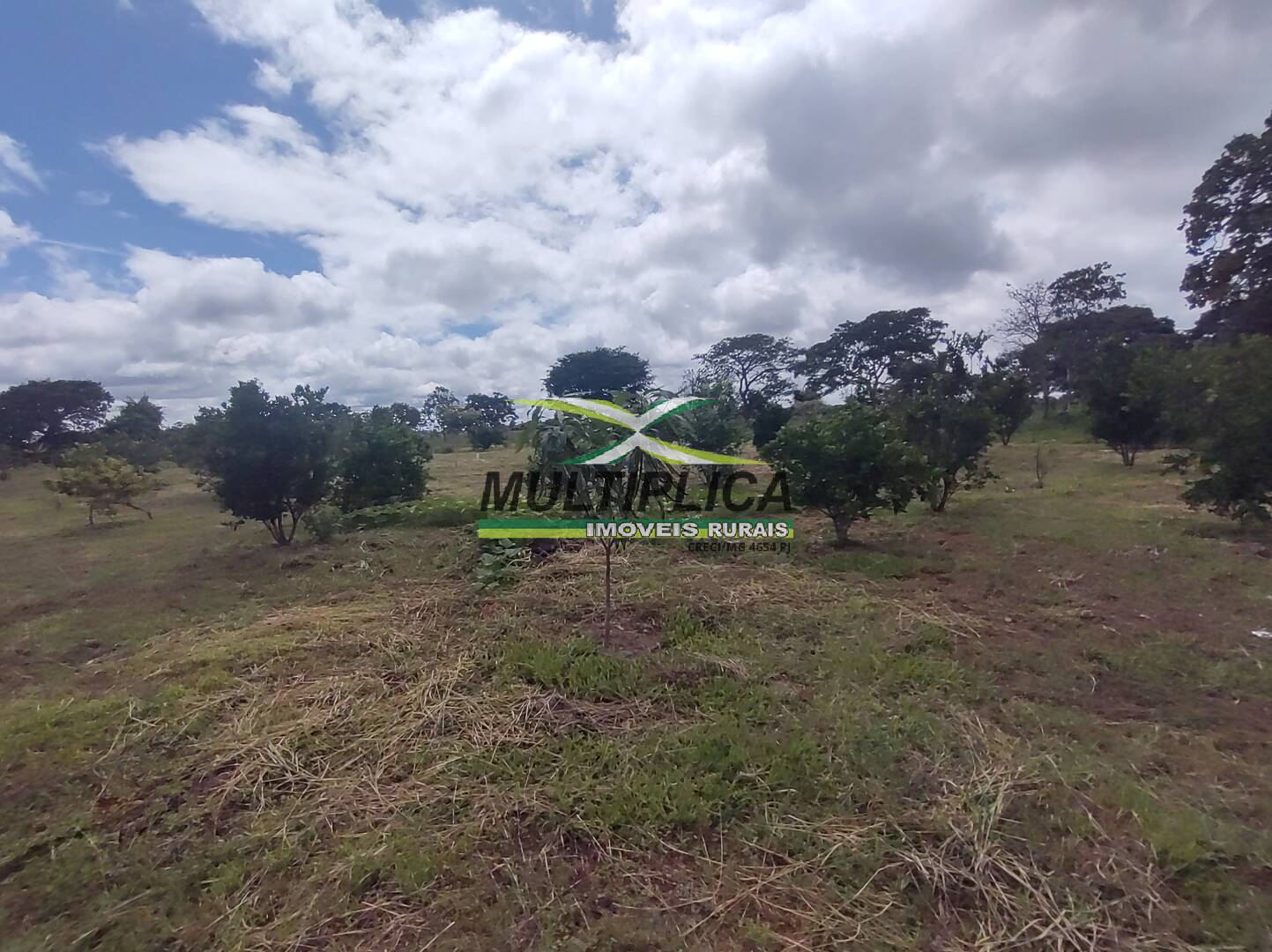Chácara à venda com 3 quartos, 200m² - Foto 68