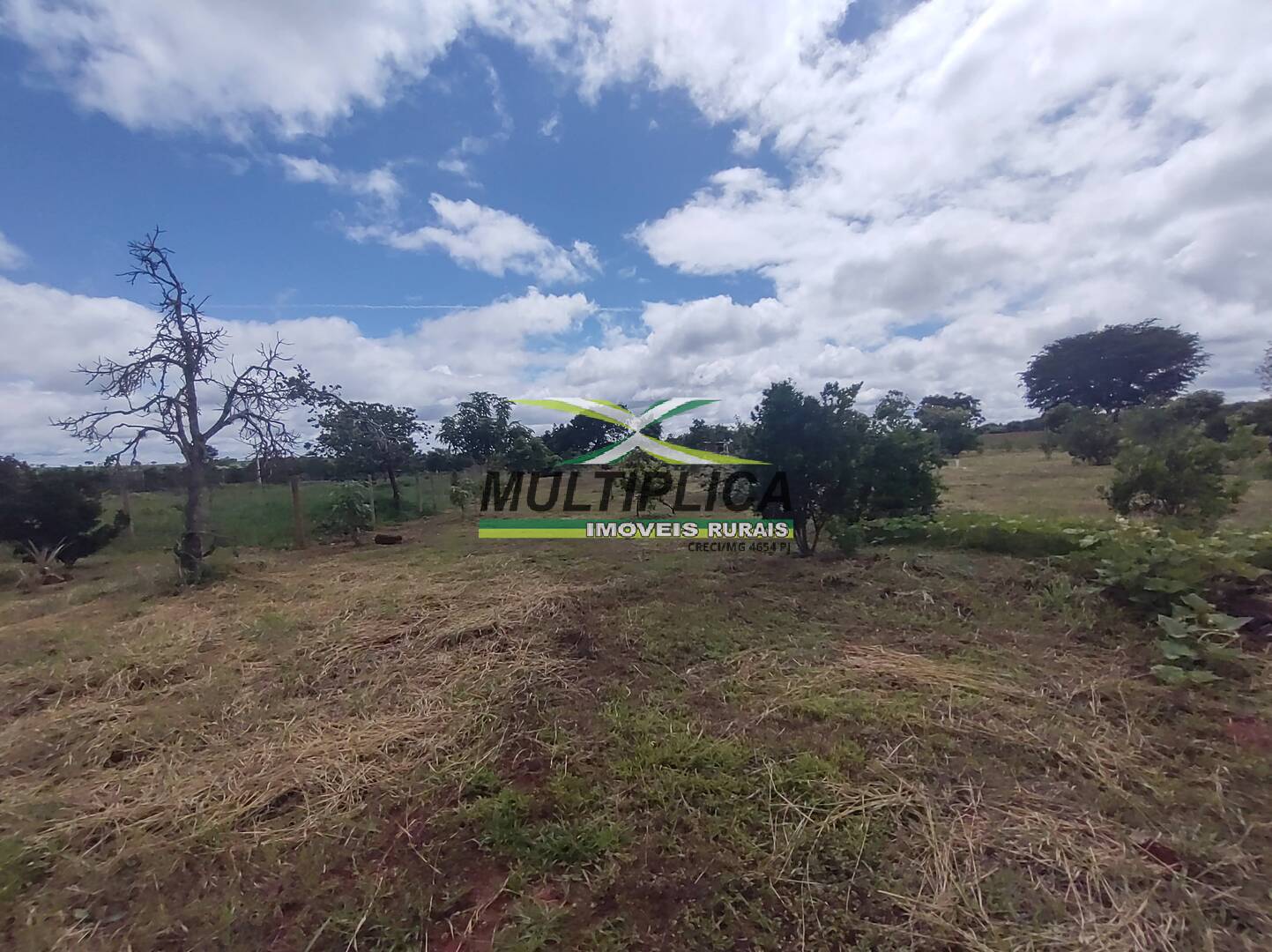 Chácara à venda com 3 quartos, 200m² - Foto 69