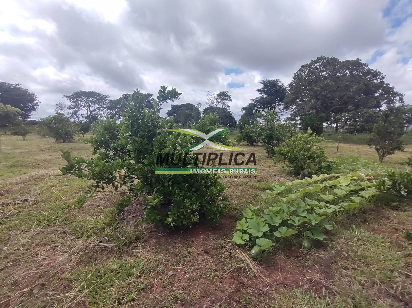 Chácara à venda com 3 quartos, 200m² - Foto 71