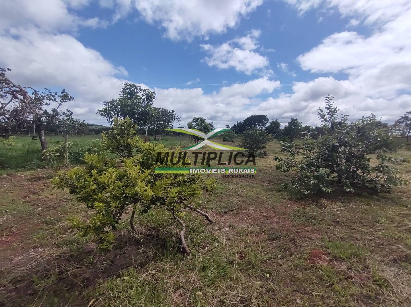 Chácara à venda com 3 quartos, 200m² - Foto 72
