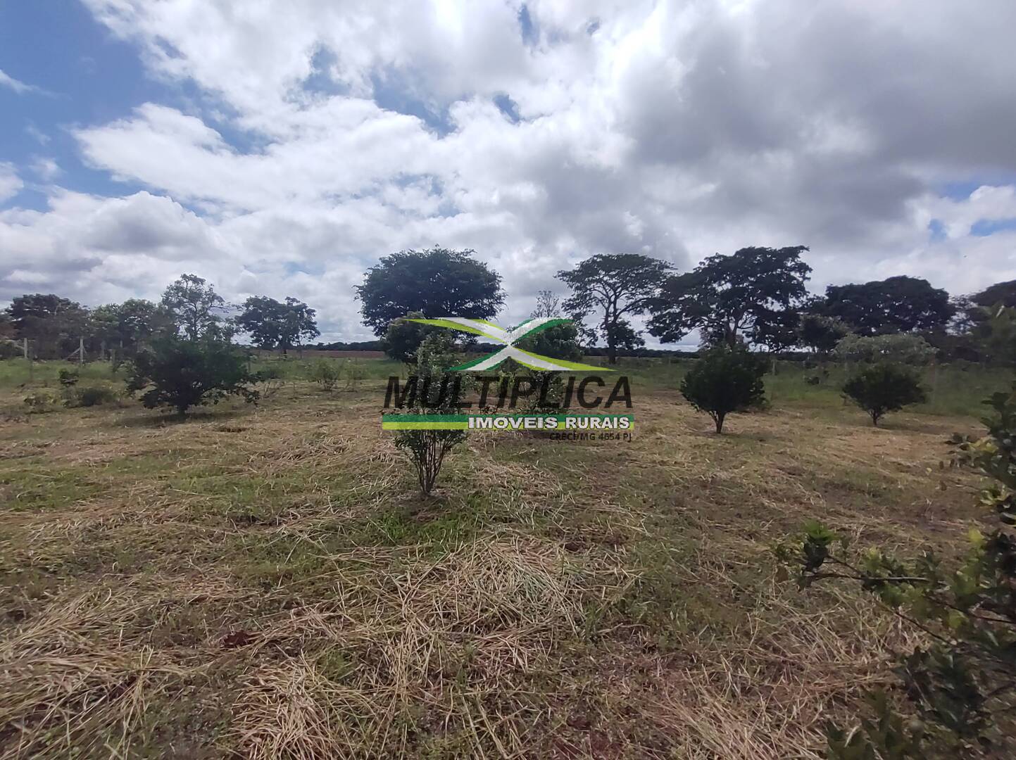 Chácara à venda com 3 quartos, 200m² - Foto 74