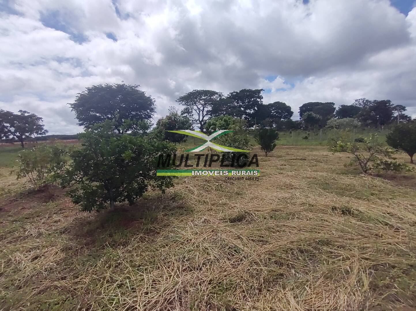 Chácara à venda com 3 quartos, 200m² - Foto 76