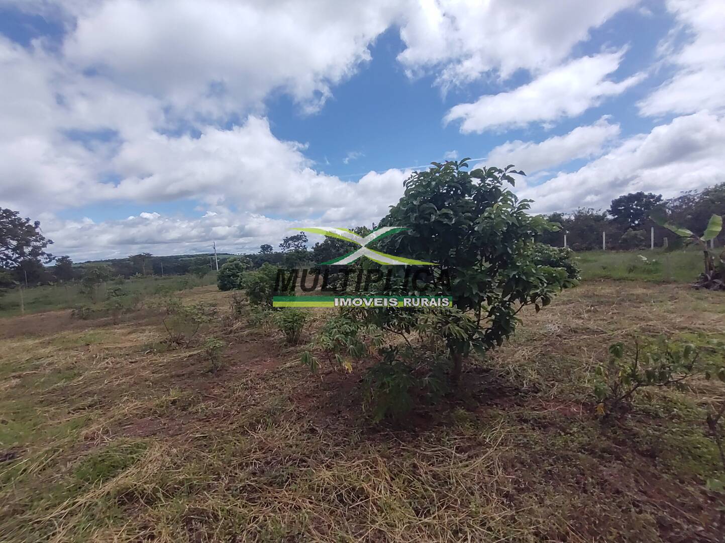Chácara à venda com 3 quartos, 200m² - Foto 77