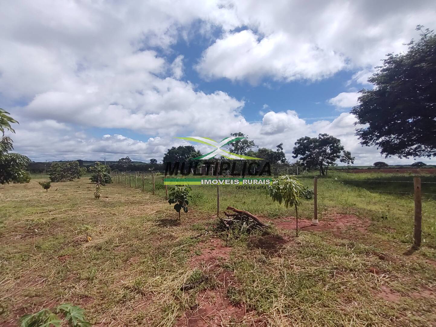 Chácara à venda com 3 quartos, 200m² - Foto 89