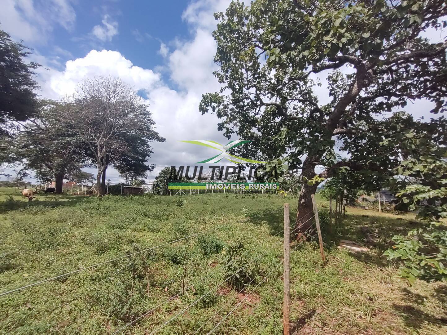 Chácara à venda com 3 quartos, 200m² - Foto 94
