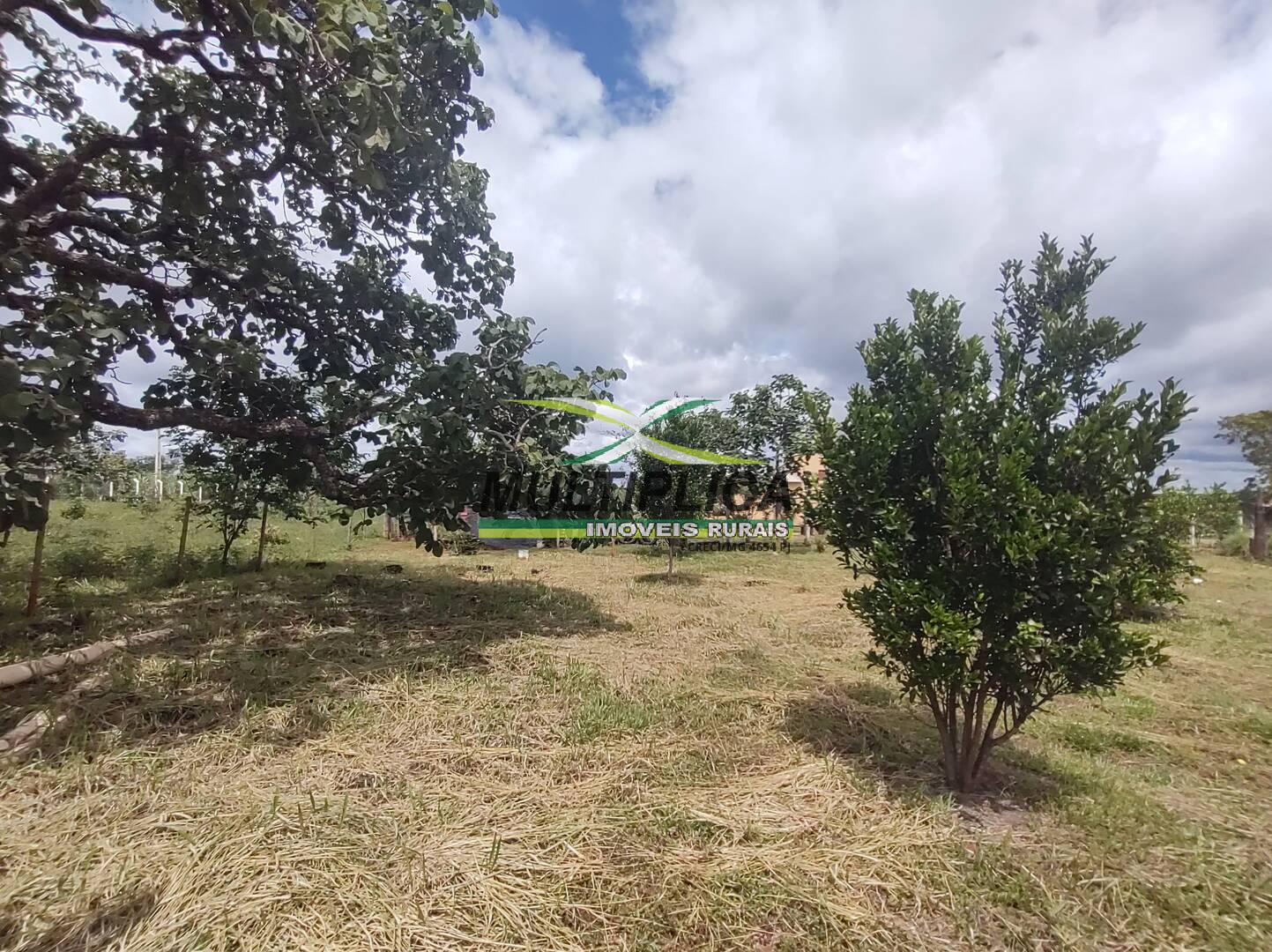 Chácara à venda com 3 quartos, 200m² - Foto 97
