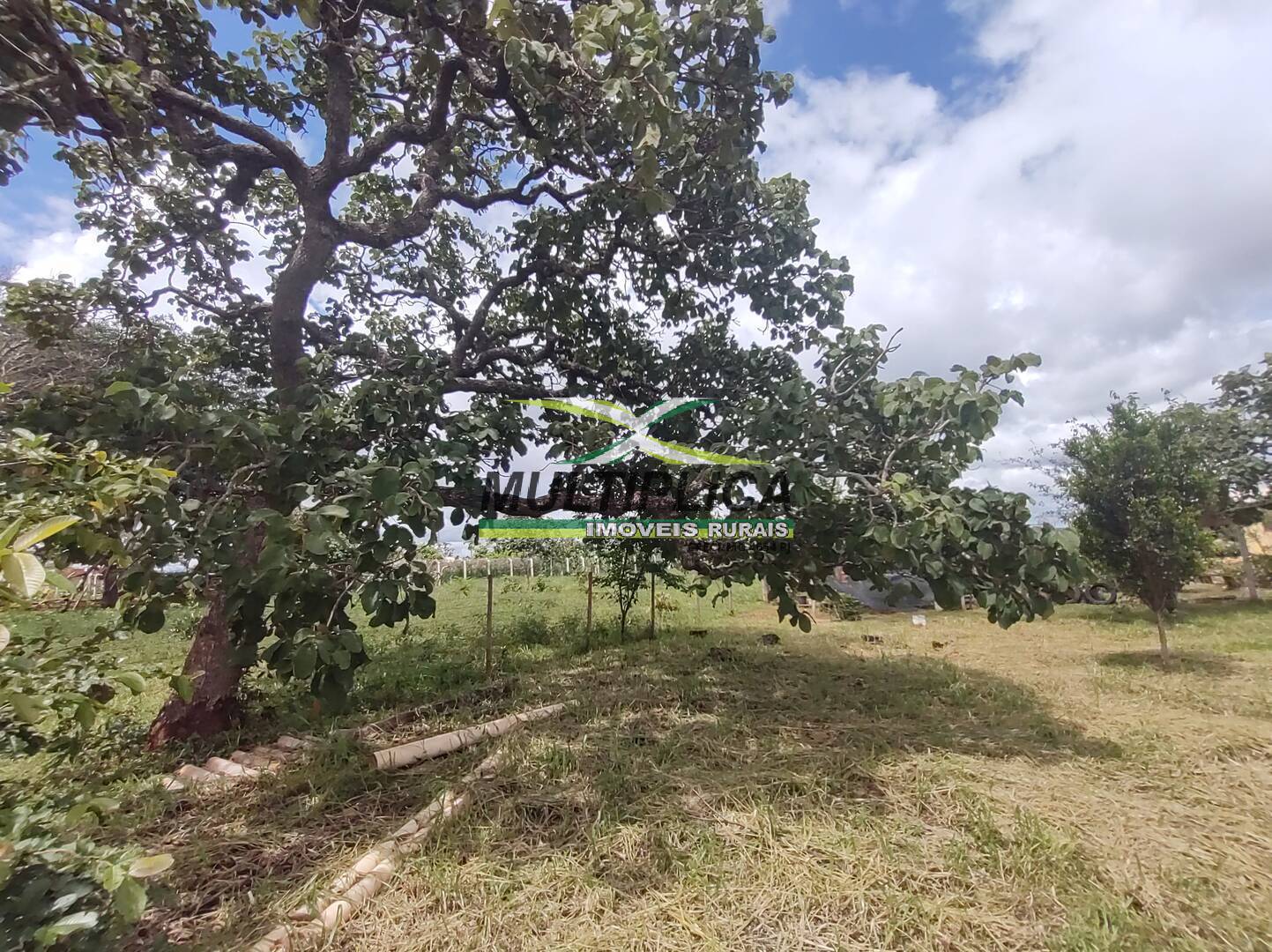 Chácara à venda com 3 quartos, 200m² - Foto 98