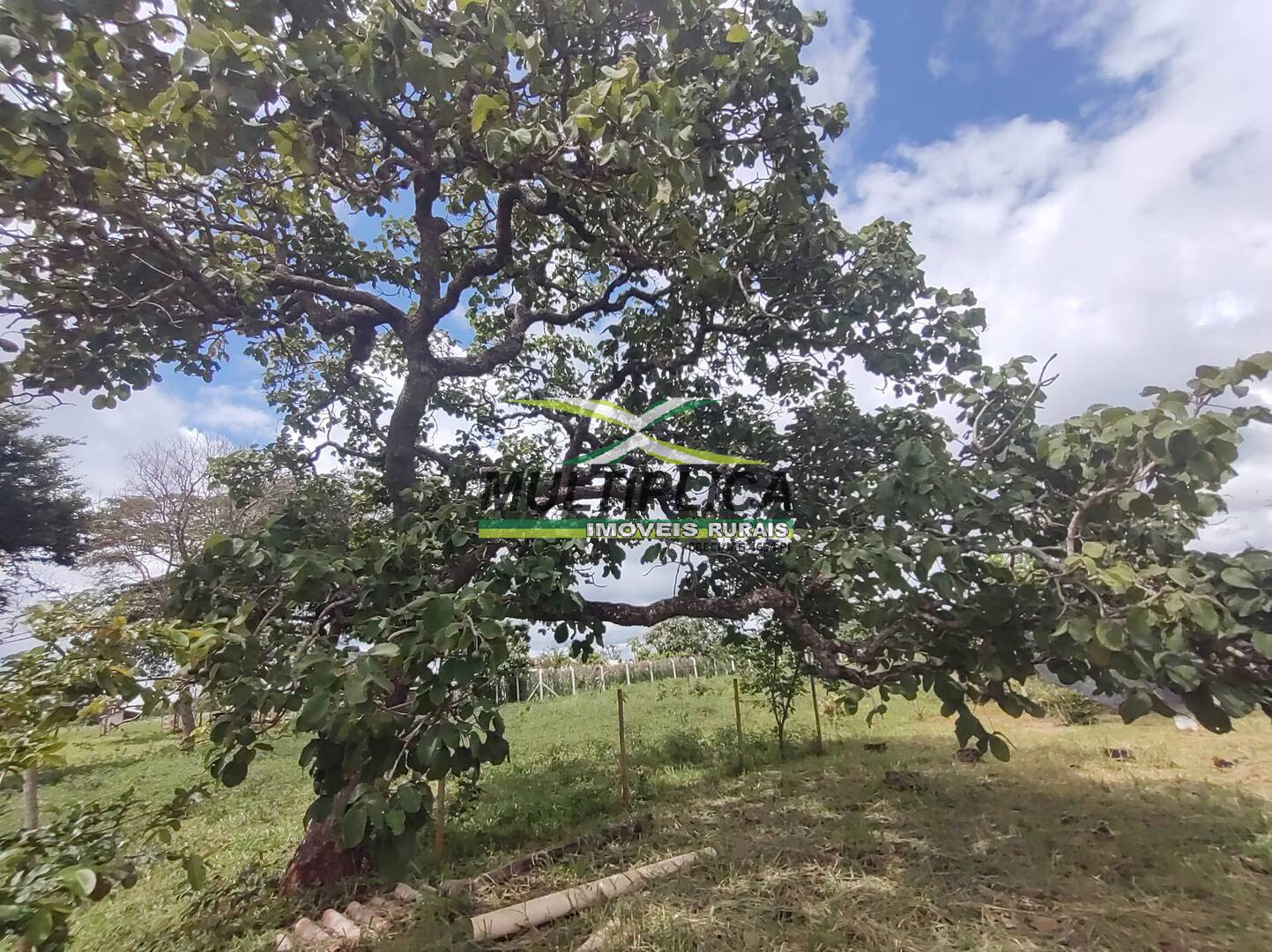 Chácara à venda com 3 quartos, 200m² - Foto 99