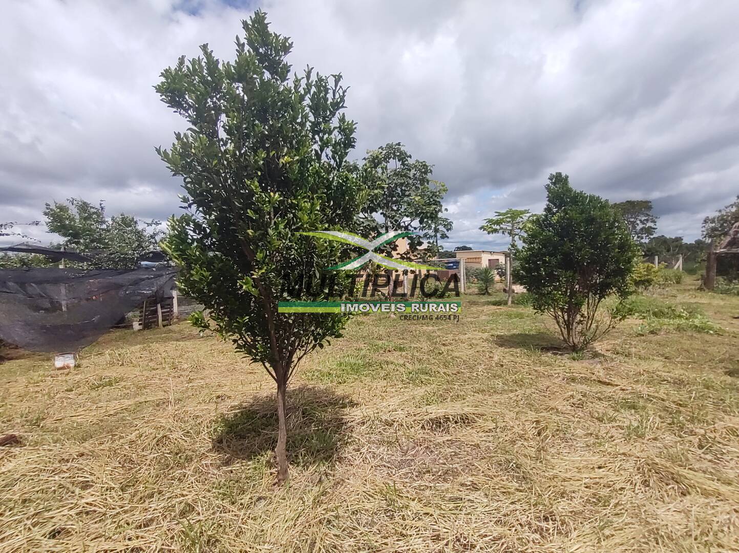 Chácara à venda com 3 quartos, 200m² - Foto 100