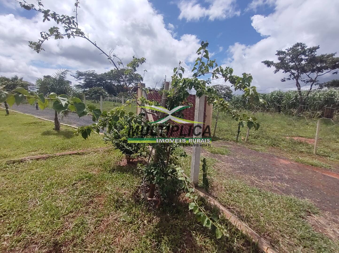 Chácara à venda com 3 quartos, 200m² - Foto 119