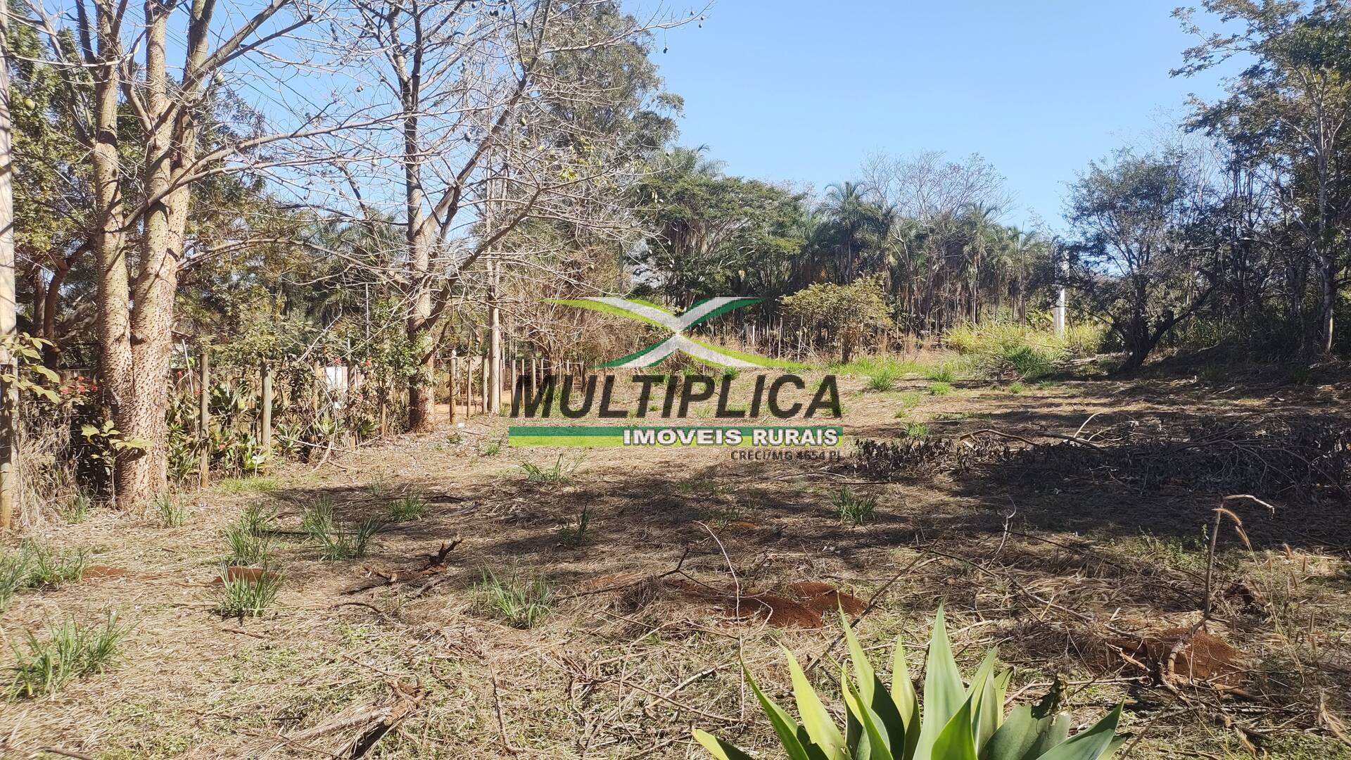 Chácara à venda com 6 quartos, 2m² - Foto 4