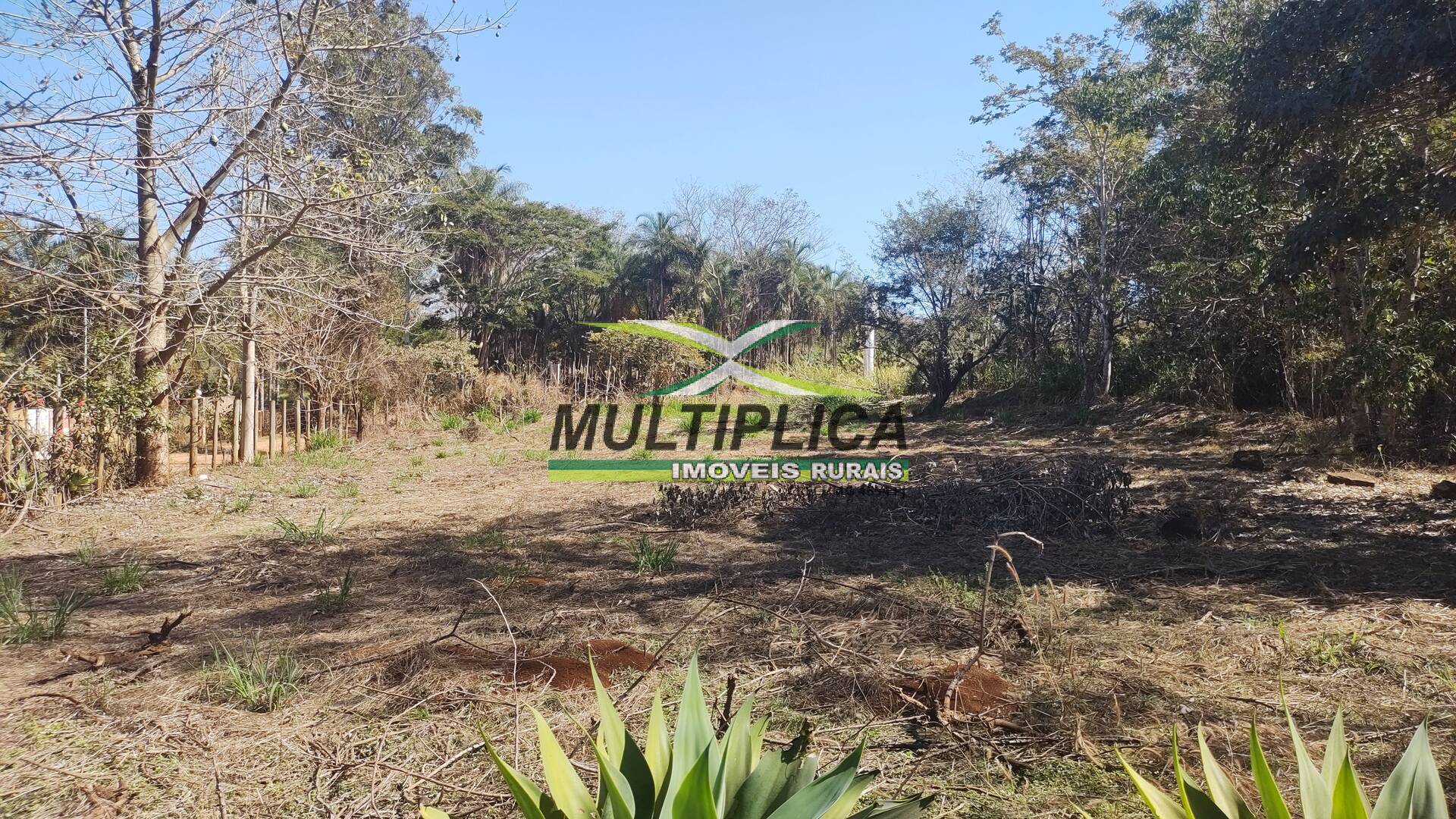 Chácara à venda com 6 quartos, 2m² - Foto 5