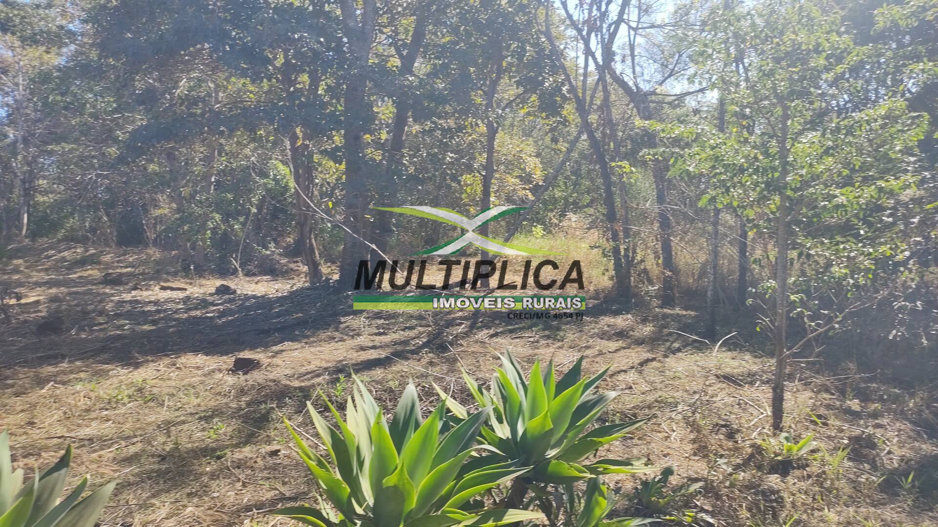 Chácara à venda com 6 quartos, 2m² - Foto 6