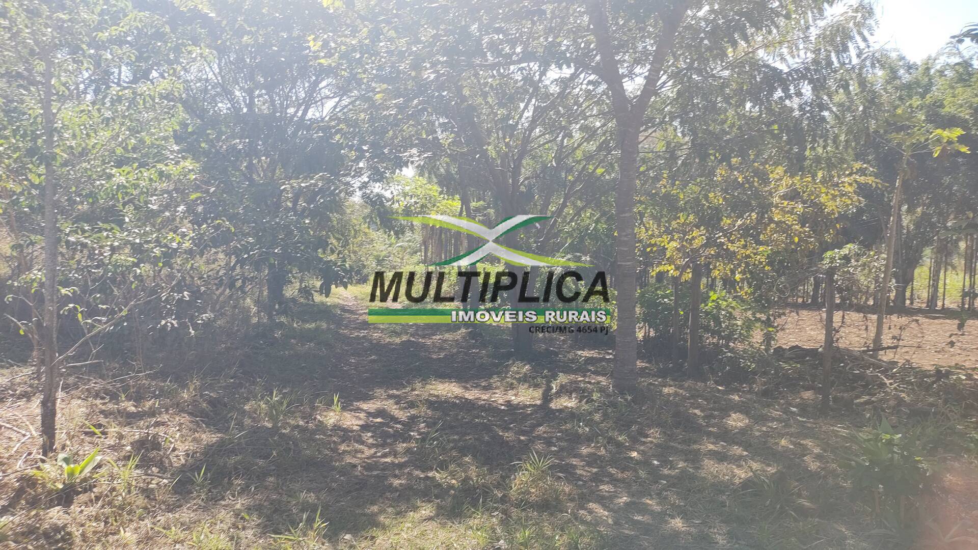 Chácara à venda com 6 quartos, 2m² - Foto 7