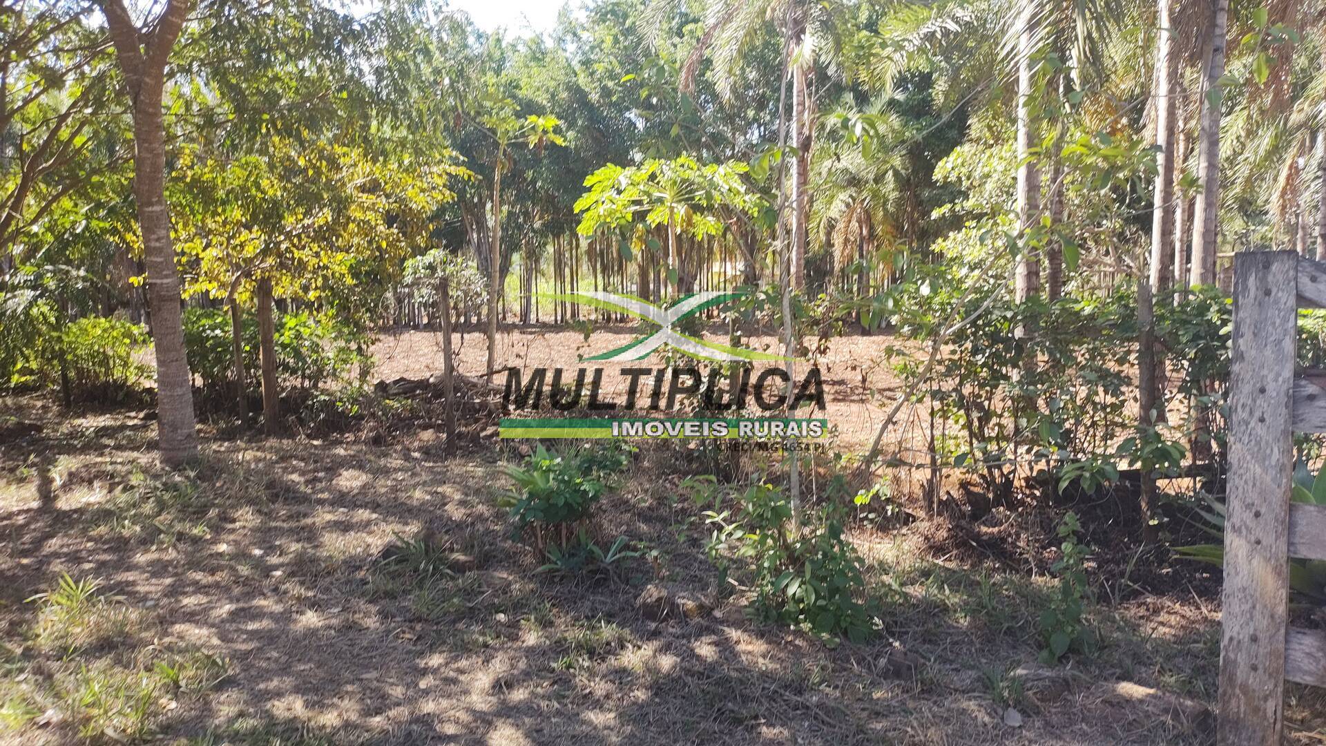 Chácara à venda com 6 quartos, 2m² - Foto 8