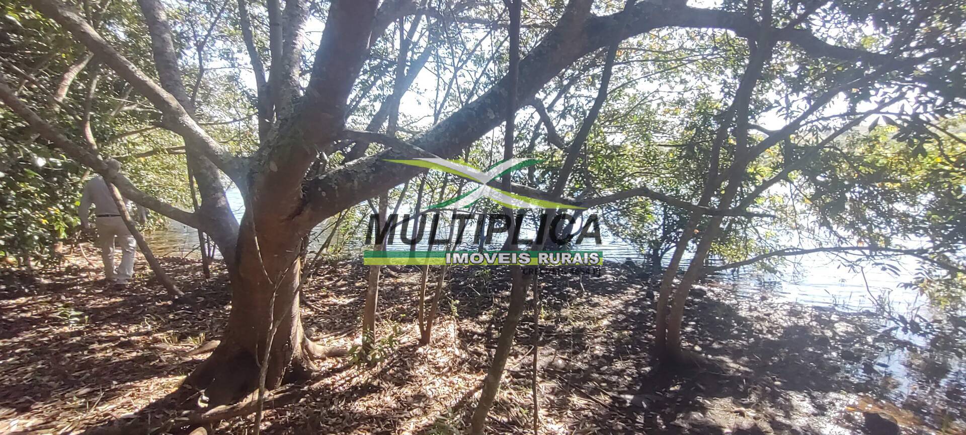 Chácara à venda com 6 quartos, 2m² - Foto 74
