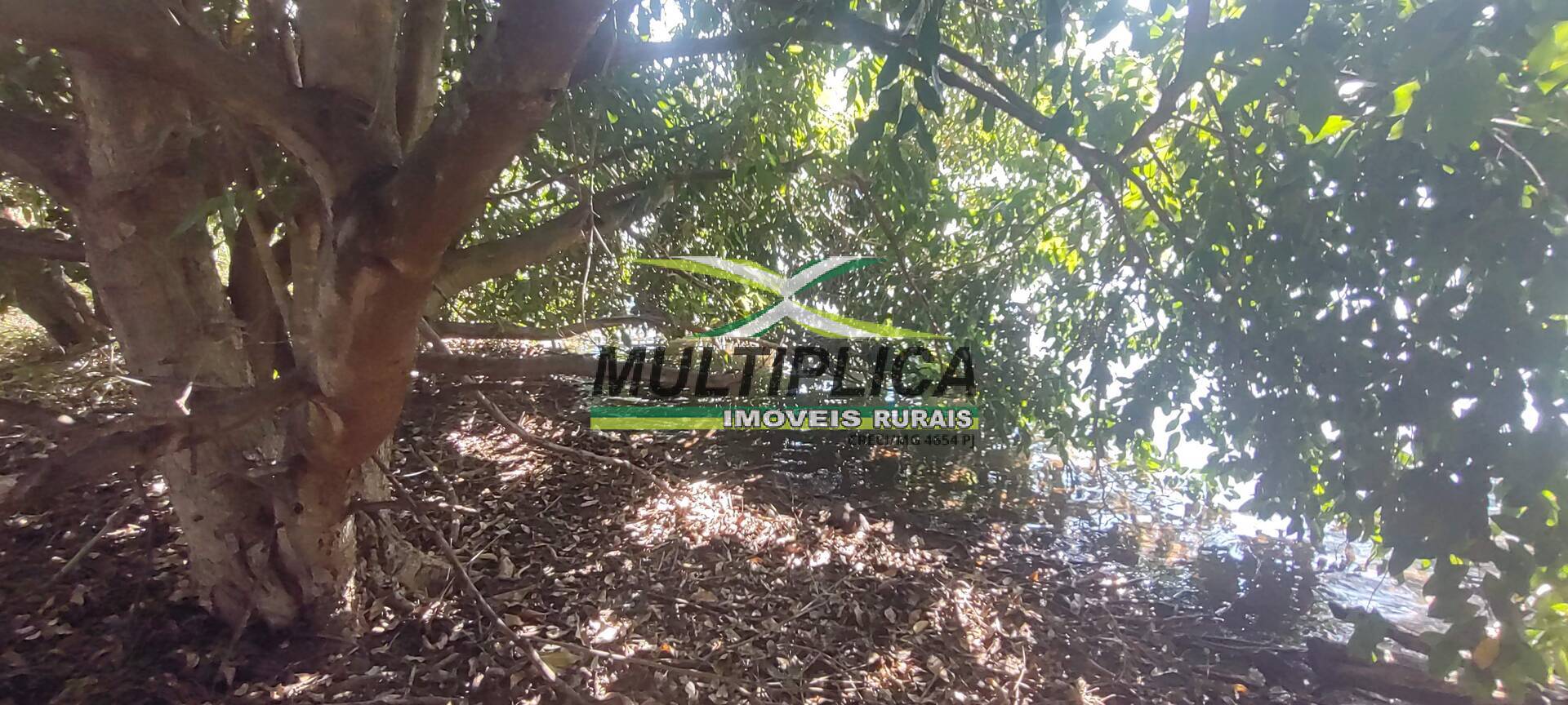 Chácara à venda com 6 quartos, 2m² - Foto 76