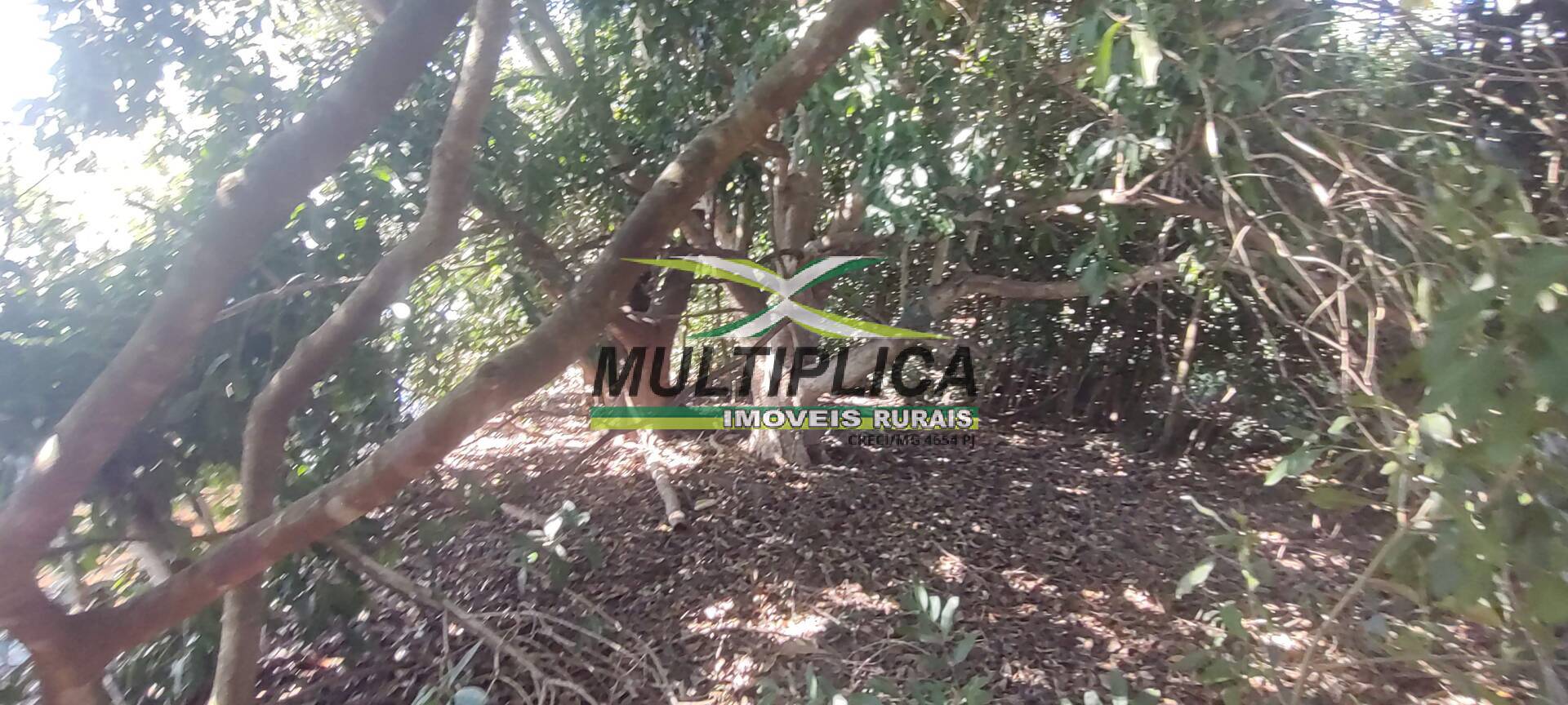 Chácara à venda com 6 quartos, 2m² - Foto 77