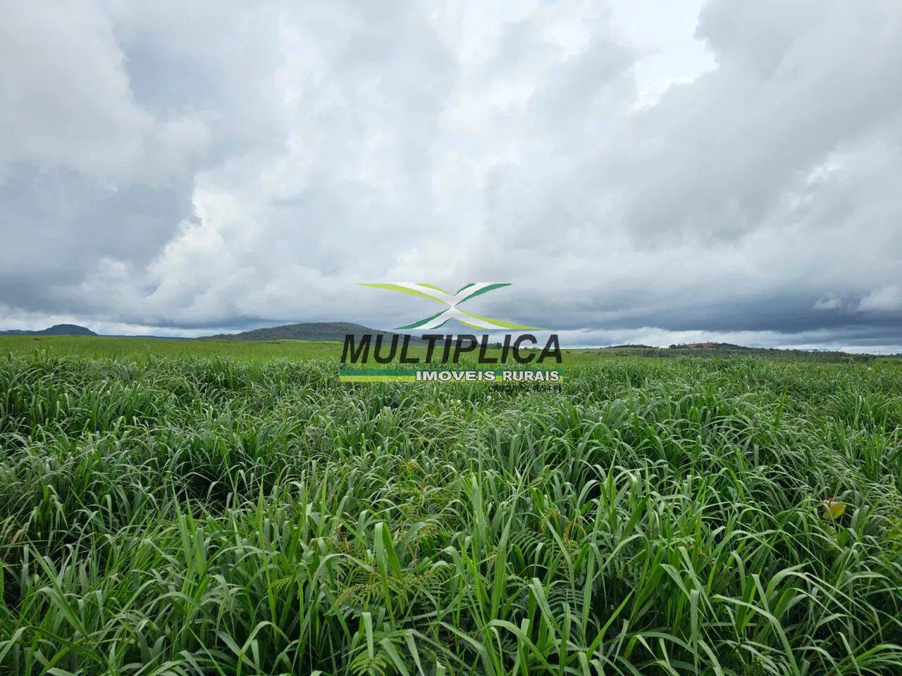 Terreno, 2624 m² - Foto 1