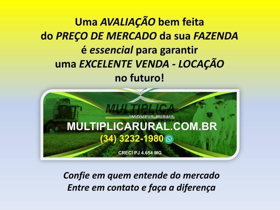 Terreno, 2624 m² - Foto 5