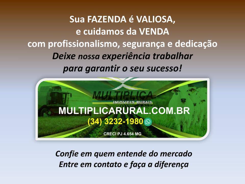 Terreno, 2624 m² - Foto 4