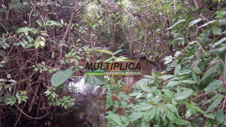 Terreno, 445 m² - Foto 5